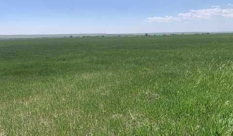 TBD Lower Spring Creek Road, Hermosa, SD 57744