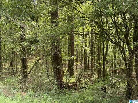 COUNTY ROAD 103, WOODLAND, AL 36280