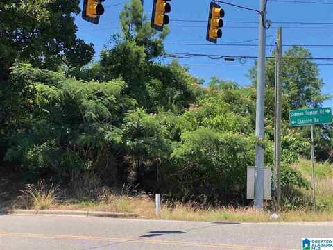 2012 SHANNON ROAD, HOOVER, AL 35022