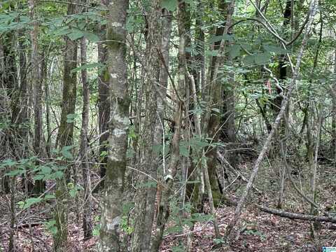 0 EASTVIEW AVENUE, HOKES BLUFF, AL 35903