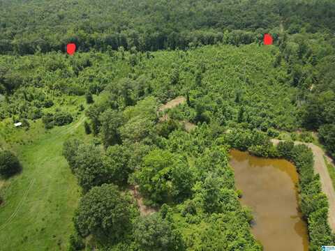 1154 GRIFFIN ROAD, CHELSEA, AL 35043