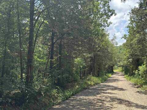 000 Uncle Bud Road, Center Ridge, AR 72027