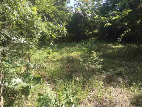 TBD Weeping Willow lane, Mena, AR 71953