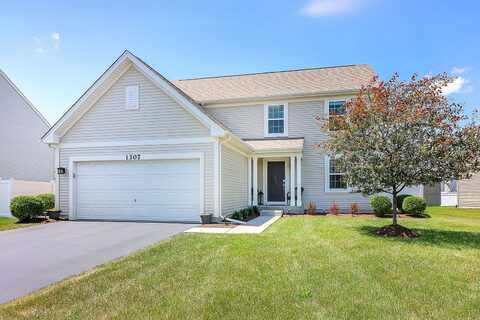 1307 Colaric Drive, Joliet, IL 60431