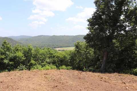 610 River Vista Dr, Mountain View, AR 72560