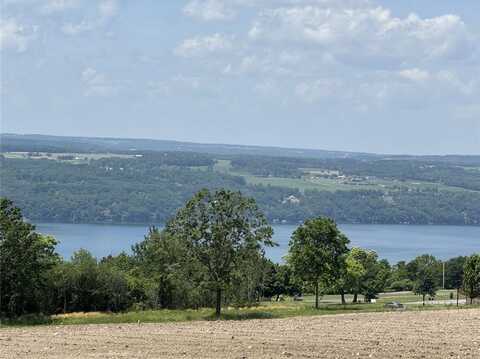 0 Shumway Road, Hector, NY 14818