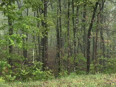 225 Prospectors Way, Jasper, TN 37347