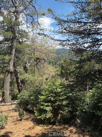 248 Old Toll Road, Lake Arrowhead, CA 92317