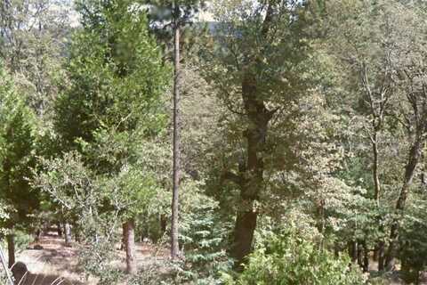 40 Fir Street, Cedarpines Park, CA 92322