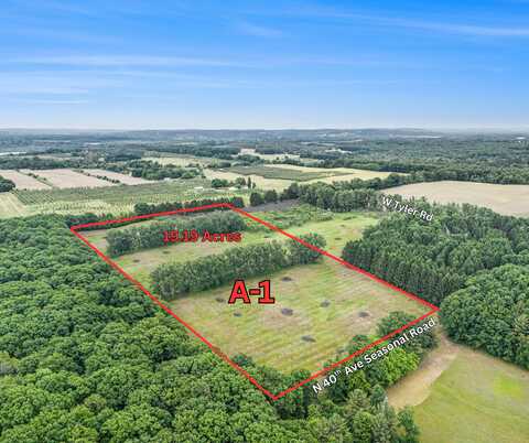 19.19 A W 40TH AVENUE, MEARS, MI 49436