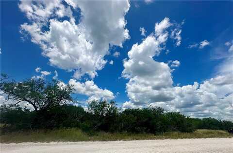 208 Mockingbird, Orange Grove, TX 78372