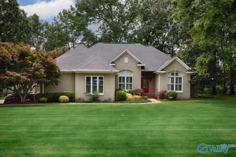 332 Riverfront Road, Rogersville, AL 35652