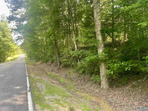 11810 County Road 9, West Blocton, AL 35184