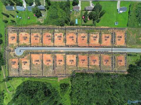 Lot 12 Olivia Road, Tanner, AL 35671