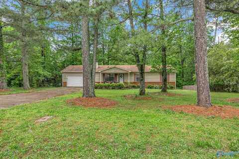 117 Water Oak Court, Harvest, AL 35749
