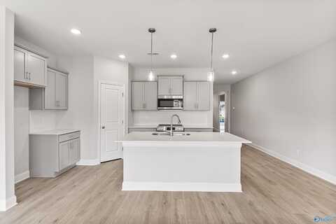 171 River Pointe Drive, New Market, AL 36761