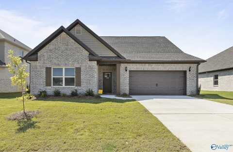 162 Saddle Street, New Market, AL 35761