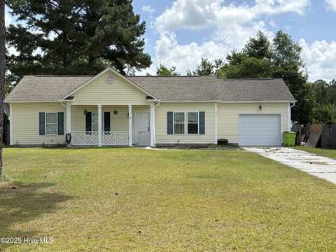 117 Boysenberry Fields Road, Maple Hill, NC 28454