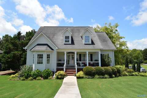 5520 Cedar Mill Drive N, Guntersville, AL 35976