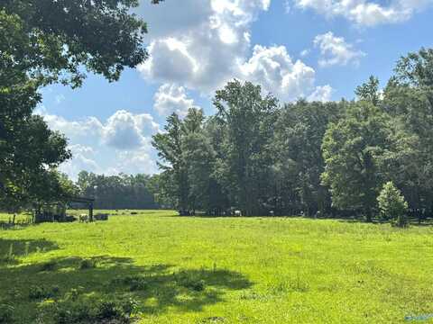 124 Acres County Road 170, Moulton, AL 35650