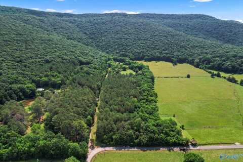 593 Sharps Hollow Road, New Market, AL 35761