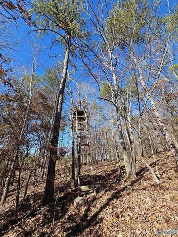 1340 County Road 45, Piedmont, AL 36272