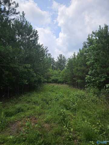 1150 County Road 865, Collinsville, AL 35961