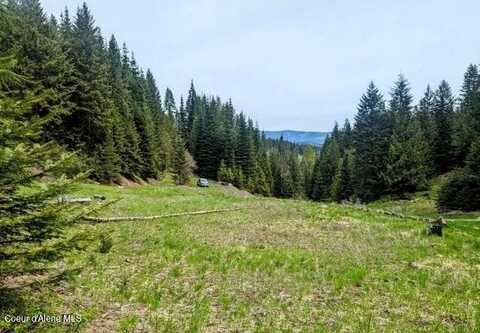 Nka Gold Ridge Road, Saint Maries, ID 83861