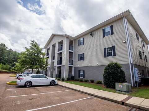 1101 Molly Barr Rd #310, Oxford, MS 38655