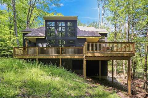 701 Black Bear Trail, Davis, WV 26260
