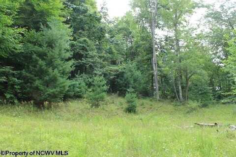 TBD Knotty Pine Drive, Parsons, WV 26287
