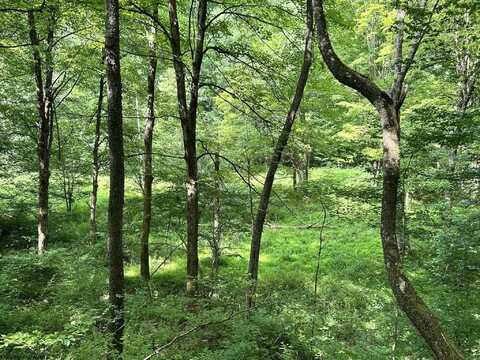 TBD Indian Fork Creek, Parsons, WV 26287