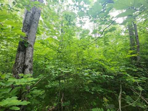 1 acre W Monroe, Harrison, MI 48625