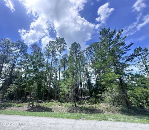 107 GEORGETOWN POINT RD, Georgetown, FL 32139