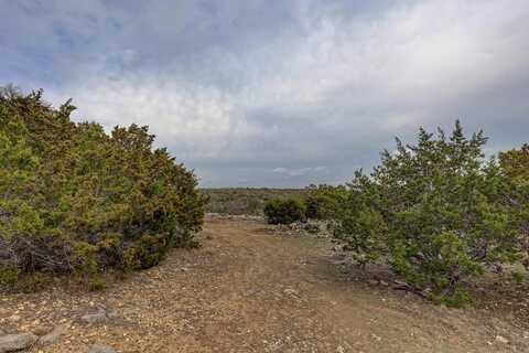 158 Ledge Stone Ln, Hunt, TX 78024