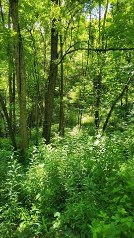 Lot 9 Hickory Ridge, Hayesville, NC 28904