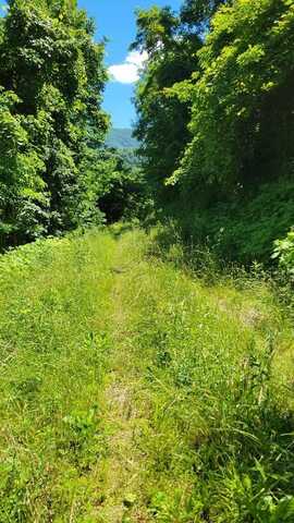 Lot 8 Hickory Ridge, Hayesville, NC 28904