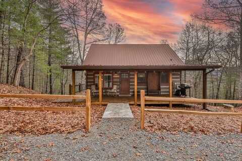 320 Little Creek Drive, Cherry Log, GA 30522
