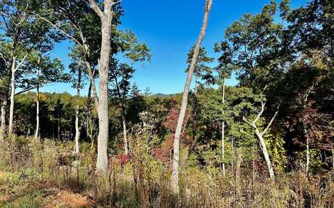 Lot 305 Greenwood Court, Ellijay, GA 30540