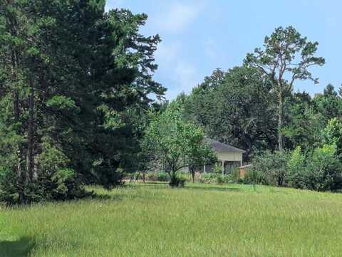 Tr 1 TBD US Hwy 84 W, Mount Enterprise, TX 75681