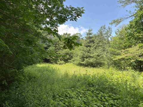 00 Simonsville Road, Andover, VT 05143