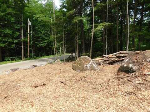 0 Bog Road, Hillsborough, NH 03244