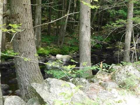 0 Bog Road, Hillsborough, NH 03244