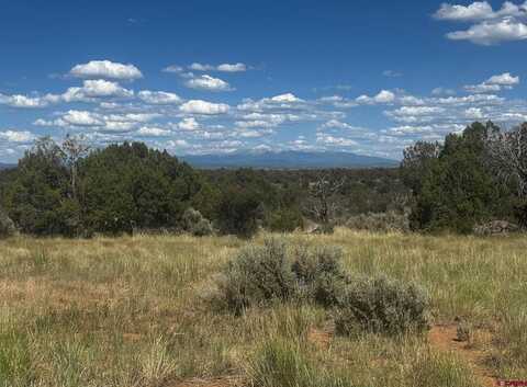 TBD Road 15, Yellow Jacket, CO 81335