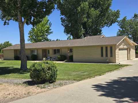 62592 North Star Drive, Montrose, CO 81403