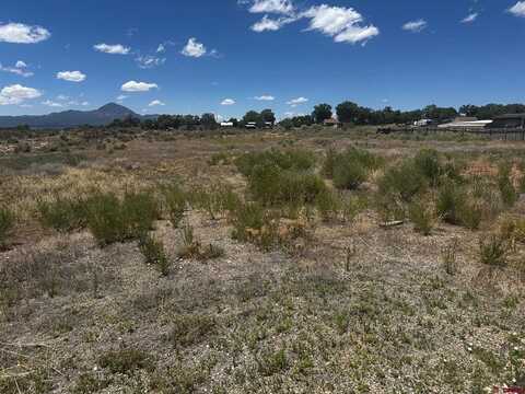 TBD S Chestnut Street, Cortez, CO 81321