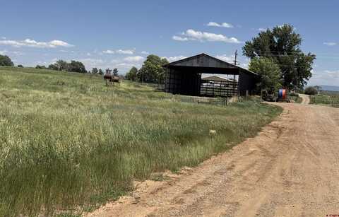 TBD Road W.5, Lewis, CO 81327