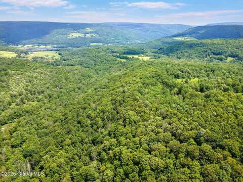 L1 Lassen Road, Broome, NY 12122