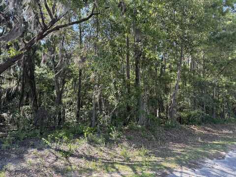 Tract 2 Tabernacle Road, Eutawville, SC 29048