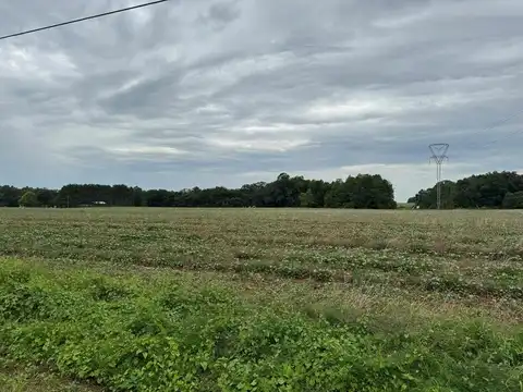 Lot 2 Cowarts Creek Rd, Ashford, AL 36312